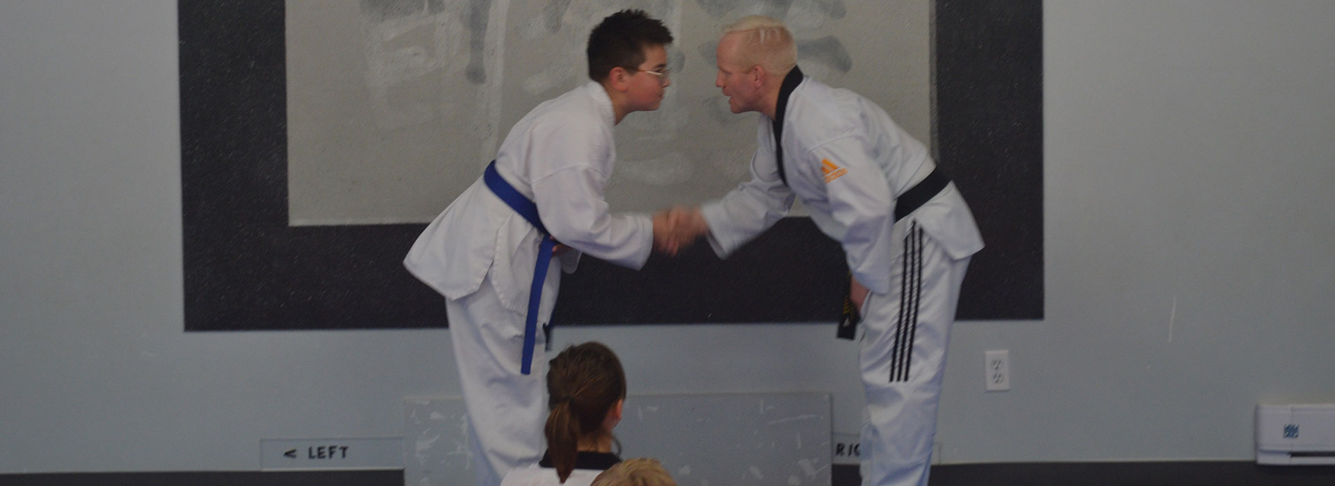 Our Champion Tae Kwon Do classes invite youths from 7 to 13 to participate in either our beginner/intermediate class or our advanced class.