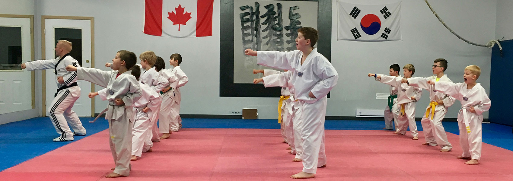 Champion Taekwondo Penticton