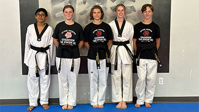 Adult Champion Tae Kwon Do classes include all students 14 years of age and up.